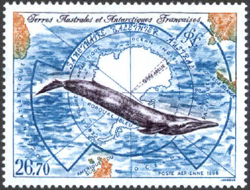 tafa139 sanctuaire baleines